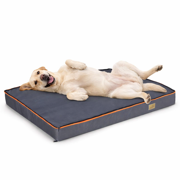 Large Padded Orthopedic Dog Bed